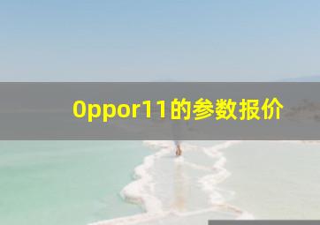 0ppor11的参数报价