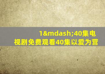 1—40集电视剧免费观看40集以爱为营