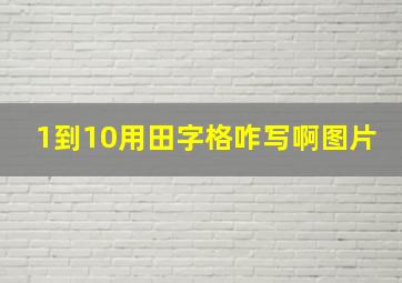 1到10用田字格咋写啊图片