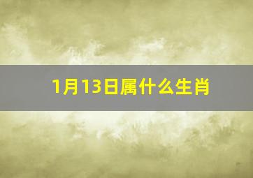 1月13日属什么生肖