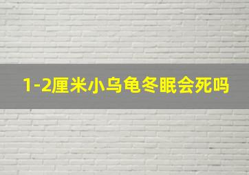 1-2厘米小乌龟冬眠会死吗