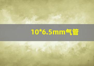 10*6.5mm气管