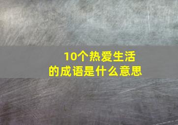 10个热爱生活的成语是什么意思