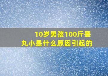 10岁男孩100斤睾丸小是什么原因引起的