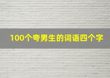 100个夸男生的词语四个字