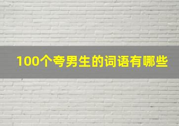 100个夸男生的词语有哪些