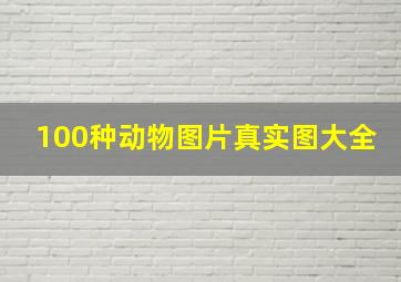 100种动物图片真实图大全