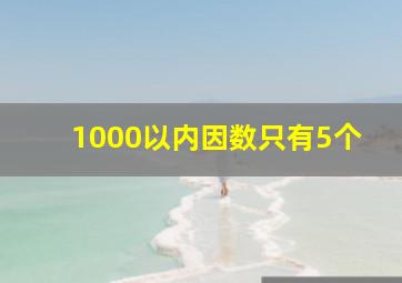 1000以内因数只有5个