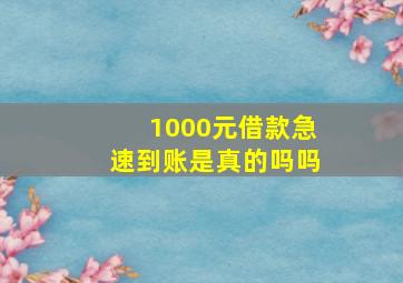 1000元借款急速到账是真的吗吗