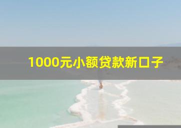 1000元小额贷款新口子