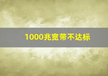 1000兆宽带不达标