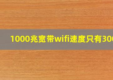 1000兆宽带wifi速度只有300M