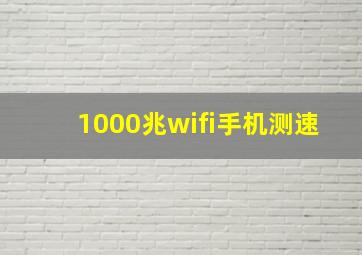 1000兆wifi手机测速