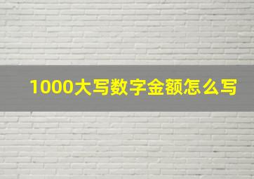 1000大写数字金额怎么写