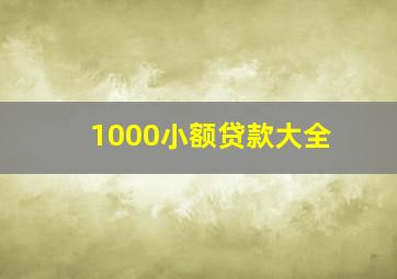 1000小额贷款大全