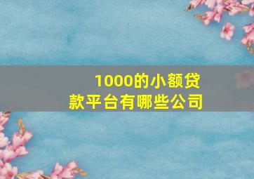 1000的小额贷款平台有哪些公司