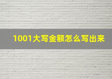 1001大写金额怎么写出来