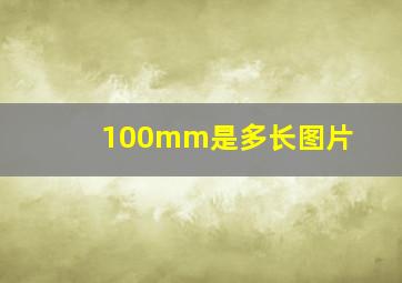 100mm是多长图片