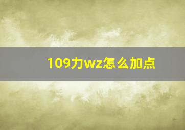 109力wz怎么加点