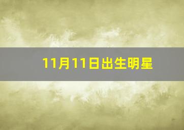 11月11日出生明星