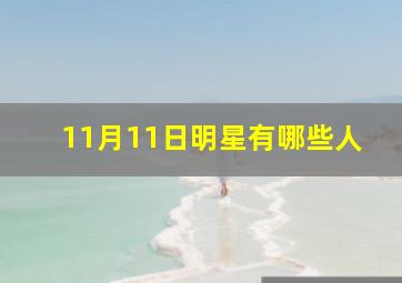 11月11日明星有哪些人