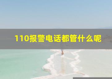 110报警电话都管什么呢