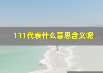 111代表什么意思含义呢