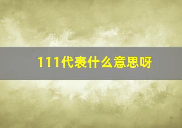 111代表什么意思呀