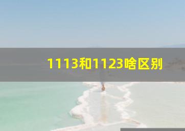 1113和1123啥区别