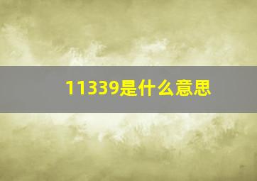 11339是什么意思