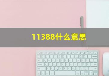 11388什么意思