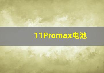 11Promax电池