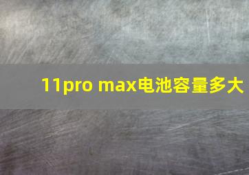 11pro max电池容量多大