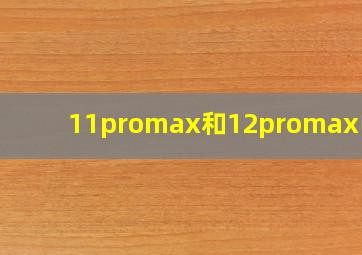 11promax和12promax电池