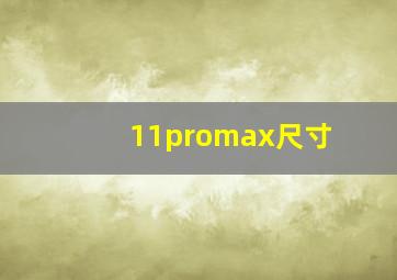 11promax尺寸