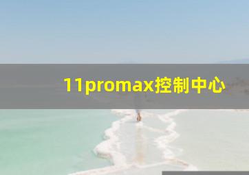 11promax控制中心