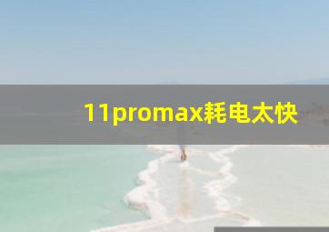 11promax耗电太快