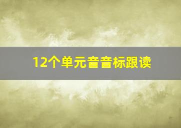 12个单元音音标跟读