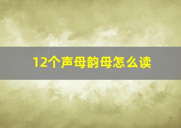 12个声母韵母怎么读