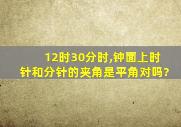 12时30分时,钟面上时针和分针的夹角是平角对吗?