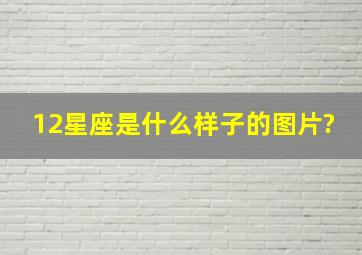 12星座是什么样子的图片?