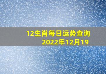 12生肖每日运势查询2022年12月19