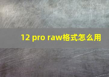 12 pro raw格式怎么用