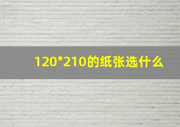 120*210的纸张选什么