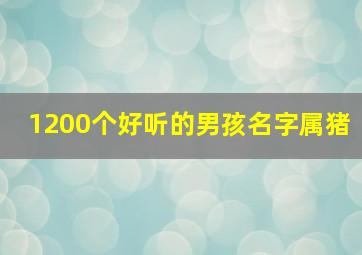 1200个好听的男孩名字属猪