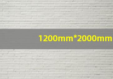 1200mm*2000mm