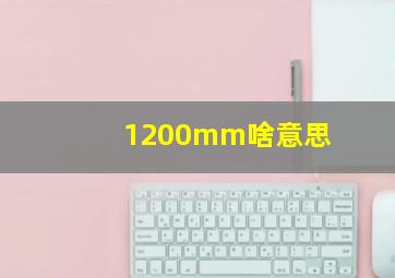 1200mm啥意思