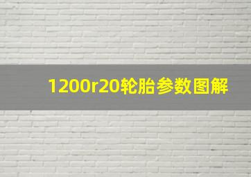 1200r20轮胎参数图解