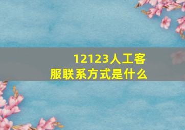 12123人工客服联系方式是什么