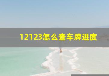 12123怎么查车牌进度